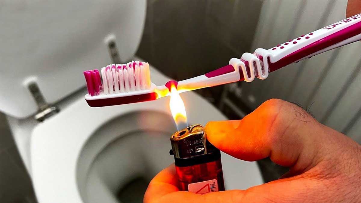 Brosse Dents Lastuce Insolite Pour D Sinfecter Les Toilettes Avec